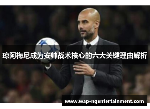 琼阿梅尼成为安帅战术核心的六大关键理由解析 琼阿梅尼成为安帅战术核心的六大关键理由解析