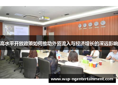 高水平开放政策如何推动外资流入与经济增长的深远影响 高水平开放政策如何推动外资流入与经济增长的深远影响